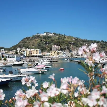 Martina Appartamento Lacco Ameno (Isola d'Ischia)